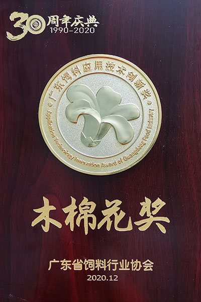 Kapok Award
